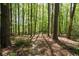 Lush wooded area with walking path, offering a serene escape into nature and connecting with natural surroundings at 247 Shallowford Nw Rd, Kennesaw, GA 30144