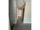 Bright hallway featuring neutral walls, new carpet, white doors, and natural light at 4291 Preserve Trl, Snellville, GA 30039