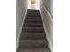 Carpeted staircase with white trim at 4291 Preserve Trl, Snellville, GA 30039