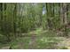 Backyard view showing secluded property line amongst mature trees and landscaping at 2794 Kakki Ct, Marietta, GA 30062