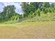 Lush backyard with healthy green grass, mature trees and a gentle slope at 311 Wells Cir, Canton, GA 30114