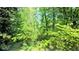 Lush backyard of home with a dense area of trees and bushes at 4256 Village Square Ln, Stone Mountain, GA 30083