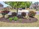 Well-maintained front yard with flowering bushes around a center tree in a suburban setting at 544 Pine Way, Dallas, GA 30157