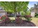 Beautifully landscaped front yard with colorful rose bushes surrounding a mature tree at 544 Pine Way, Dallas, GA 30157