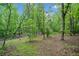 Natural woodland area with mature trees at 675 Jack Page Ln, Canton, GA 30115