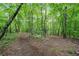 Natural woodland area with mature trees and trails at 675 Jack Page Ln, Canton, GA 30115