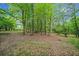 Natural woodland area with mature trees at 675 Jack Page Ln, Canton, GA 30115
