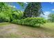 Expansive yard with mature trees and lush greenery at 675 Jack Page Ln, Canton, GA 30115