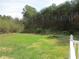 Expansive backyard with vibrant green grass and a wooded backdrop, offering a serene and private setting at 28 County Line #2 Rd, Rydal, GA 30171
