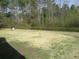 Expansive backyard with a healthy, green lawn at 28 County Line #2 Rd, Rydal, GA 30171