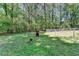 A verdant fenced backyard with lots of trees and space to enjoy at 4735 Rabbit Farm Rd, Loganville, GA 30052