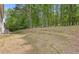 Side view of the house surrounded by trees and a lawn at 1450 Steam Engine Way, Conyers, GA 30013