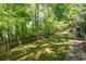Lush backyard with a wooden fence and mature trees, offering privacy and a serene outdoor space at 2620 Margaret Mitchell Dr, Atlanta, GA 30327