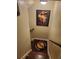 Stairway view with Fender guitar art and a decorative Cinzano poster at 101 Brendylynn Trce, Woodstock, GA 30188