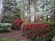 Backyard featuring mature trees and lush plantings at 3460 Highgate Hills Ne Dr, Duluth, GA 30097