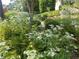 Lush backyard landscaping featuring trees, bushes, plants, and flowers, creating a serene outdoor oasis at 3460 Highgate Hills Ne Dr, Duluth, GA 30097