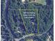Aerial view of 5 acre estate at 4340 Candacraig, Johns Creek, GA, surrounded by lush greenery and mature trees at 4340 Candacraig, Johns Creek, GA 30022