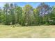 Spacious backyard with lush green grass surrounded by mature trees, offering privacy and a serene outdoor space at 65 Macadamia Ct, Covington, GA 30016