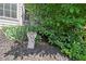 Close-up of landscaped garden bed featuring lush greenery, mulch, and decorative angel statue near the home's exterior at 65 Macadamia Ct, Covington, GA 30016