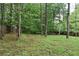 Large backyard with mature trees, offering a private and natural setting at 6503 Old Macon Hwy, Rex, GA 30273