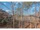 Wooded backyard with view of lake at 1584 Fernstone Nw Cir, Acworth, GA 30101