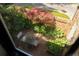 Charming brick patio surrounded by lush greenery at 266 Adair St, Decatur, GA 30030