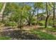 Peaceful wooded backyard with mature trees, natural landscaping, and a serene atmosphere at 1290 Fernwood Ne Cir, Brookhaven, GA 30319