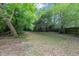 Backyard with green grass and mature trees at 1677 Wayland Ne Cir, Brookhaven, GA 30319