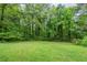 Wide backyard with tall trees creating a border on the property at 3897 Mcgill Dr, Decatur, GA 30034