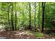 Backyard featuring lush trees providing privacy and natural beauty at 535 Silver Pine Trl, Roswell, GA 30076
