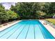 Bright, spacious swimming pool surrounded by lounge chairs and lush greenery at 535 Silver Pine Trl, Roswell, GA 30076