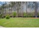 Large, green backyard with a view of tall pine trees in a wooded area at 116 Laurel Ln, Social Circle, GA 30025