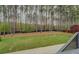 Spacious backyard with a wooded boundary, perfect for outdoor activities at 116 Laurel Ln, Social Circle, GA 30025