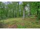 Wooded backyard featuring mature trees, grass, and a wooden fence at 408 Walnut Dr, Woodstock, GA 30189
