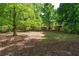 Spacious backyard with mature trees, a grassy lawn, and house in the background at 1811 Fountain Hill Ct, Duluth, GA 30097