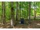 Cleared area in wooded backyard great for outdoor entertaining at 1811 Fountain Hill Ct, Duluth, GA 30097