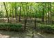 River West Dog Park gated entrance with stone path and wooded backdrop at 4246 River Green Nw Dr # 202, Atlanta, GA 30327