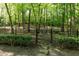 Gated dog park area with trees and greenery at 4246 River Green Nw Dr # 202, Atlanta, GA 30327