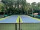 Well-maintained tennis courts surrounded by lush greenery, perfect for recreational play at 15 Northwood Ne Ave, Atlanta, GA 30309