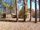 Wooden porch and home nestled in the trees, with a spacious backyard at 727 Regina Ct, Lawrenceville, GA 30043