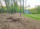 Over 1 acre lot offering privacy and serenity with mature trees at 1005 Liberty Springs Dr, Woodstock, GA 30188
