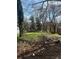 An overgrown lot, full of grass, weeds, downed branches, and trash on a sunny day at 419 Lanier Nw St, Atlanta, GA 30318