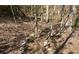 The wooded trail is lined with rocks to give direction when exploring the landscape at 158 Grove Meadow Dr, Acworth, GA 30101