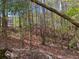 Wonderful tree swing surrounded by a forest of trees in the backyard at 158 Grove Meadow Dr, Acworth, GA 30101