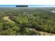 Areal view of property near lake showcasing the surrounding woods at 7320 Oak Arms Ct, Villa Rica, GA at 7320 Oak Arms Dr, Villa Rica, GA 30180