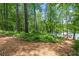 Natural path leading to a stunning view of the lake at 4290 Bobbins Way, Cumming, GA 30041