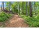 Wood chip path leads to the home at 4290 Bobbins Way, Cumming, GA 30041