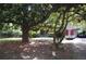 Charming home with mature trees and a lush front lawn, partially obscuring the brick facade at 5170 Chamblee Dunwoody Rd, Atlanta, GA 30338