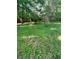 Spacious backyard with lush green grass and ample space at 61 Kathy Ln, Temple, GA 30179