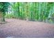Spacious backyard with a chain link fence and mature trees creating a private outdoor space at 2046 Copperfield Cir, Decatur, GA 30035